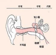 杭州御和堂老中医传授您：五种预防外耳炎的方法！