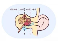中耳炎的症状该如何预防？看杭州御和堂老中医怎么说！